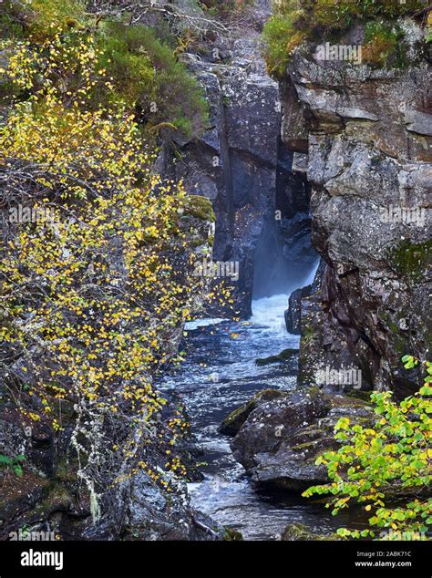 Scotland glen affric hi-res stock photography and images - Alamy