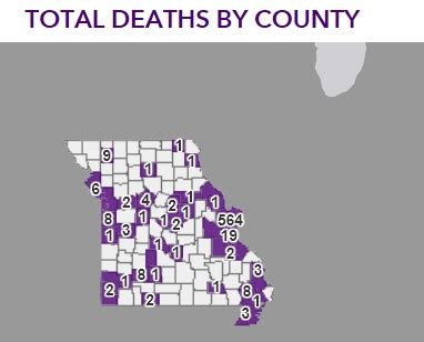 The Turner Report: Another 450 COVID-19 cases confirmed in Missouri ...