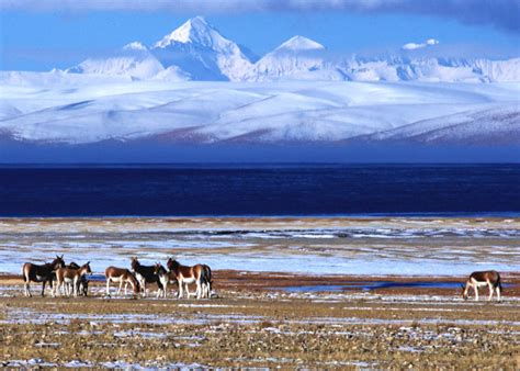 Manasarovar Lake - One of Three Holy Lakes in Tibet | WindhorseTour – China Tibet Travel Tour ...