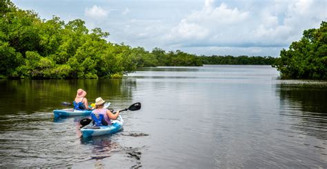 J.N "Ding" Darling National Wildlife Refuge Info, Map | Must Do Visitor Guides