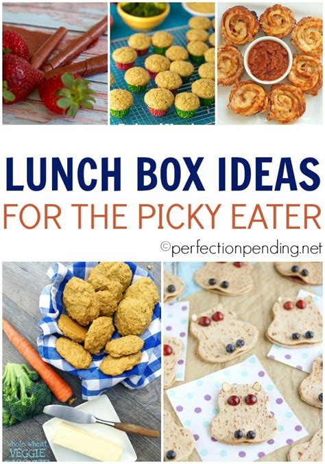 School Lunch Box Ideas For Picky Eaters at Bernard Austin blog