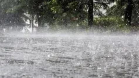 India to see normal rains during southwest monsoon season: IMD