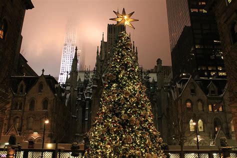 St. Patrick's Cathedral behind the Christmas Tree Photograph by Catie Canetti