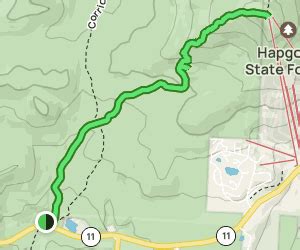 Bromley Mountain via Long Trail (Appalachian Trail): 907 Reviews, Map - Vermont | AllTrails