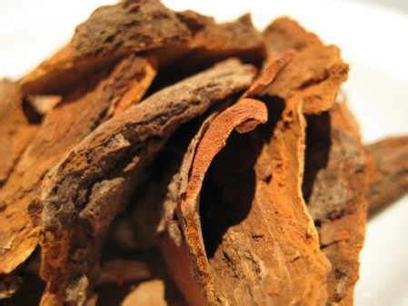 Sassafras Whole Root Bark – Sassafras varifolium - 50 grams