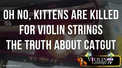 Oh No, Kittens are Killed for Violin Strings! - the Truth about Catgut ...