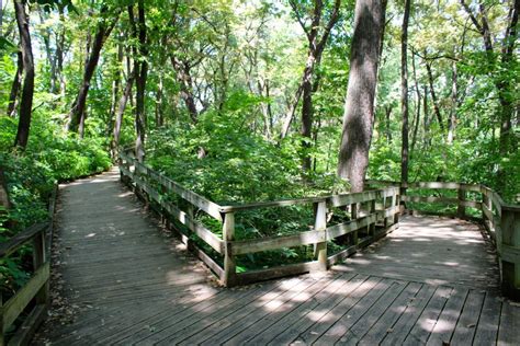 Frolicking in the Fontenelle Forest | Our Next Adventure