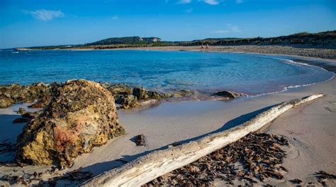 Premium Photo | Son bou beach in menorca balearic island