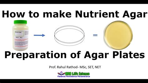 Lb Nutrient Agar Recipe | Bryont Blog