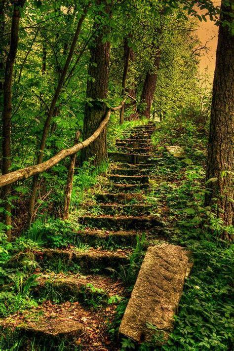 Stairs In the Woods Explained - Mind Setters