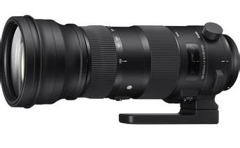 Sigma 150-600mm f/5-6.3 DG OS HSM Sport Lens Sample Pics - CanonWatch