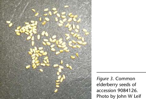 Table 1 from Comparison of seed germination techniques for common ...