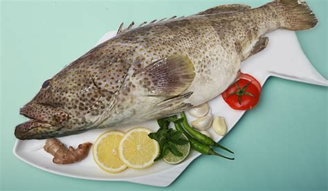 Hamour Fish online in Dubai, Sharjah, Ajman | thefresh.ae - Best online ...