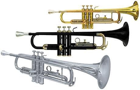 What different types of trumpets are there?