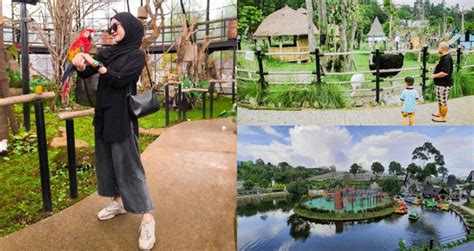 Lembang Park and Zoo: Info Lengkap Harga Tiket Hingga Cara ke Sana! - Klook Blog