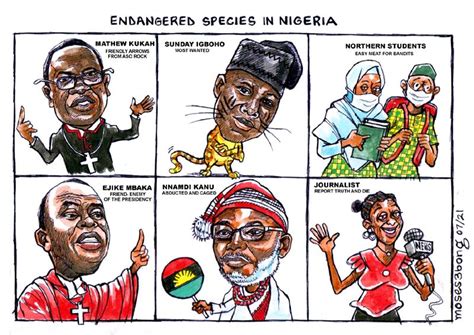 Who is Safe? (cartoon) - Vanguard News Who is Safe? (cartoon)