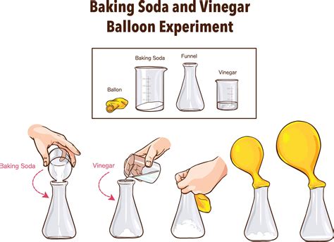 Easy Carbon Dioxide Experiment with a Balloon — Kvaroy Arctic