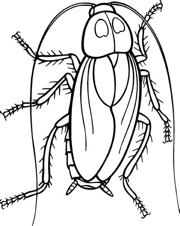 Free Roach Cliparts, Download Free Roach Cliparts png images, Free ClipArts on Clipart Library