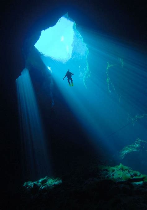 Cave Diving | Underwater world, Underwater caves, Underwater