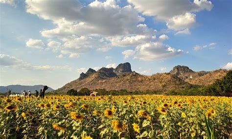 Lopburi Province 2023: Best Places to Visit - Tripadvisor