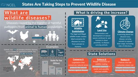 States Working To Prevent Spread of Wildlife Diseases | National Caucus of Environmental Legislators