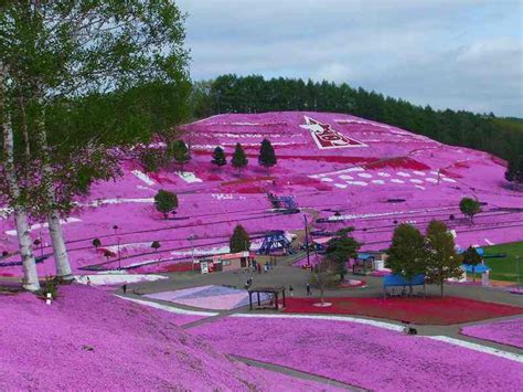 Higashimokoto Flower Park - The Flower Hill of Hokkaido