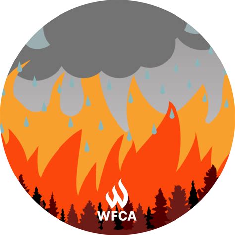 Wildfires and Rain: What You Need to Know | WFCA