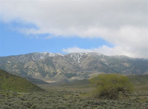 Tejon Pass, Frazier Mtn~ 3/30/05 | FrazierMtnMom | Flickr