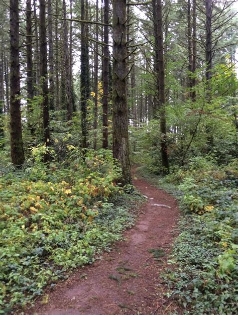 Eco Park/Willamette River Trail Mountain Bike Trail in Canby, Oregon - Directions, Maps, Photos ...