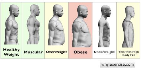 Obesity scale: effective body weight testing for home use