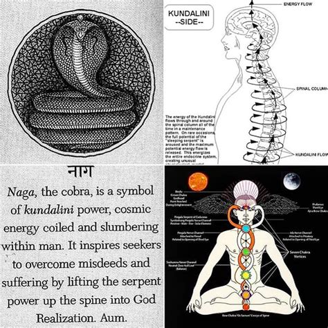 Kundalini Shakti Snake