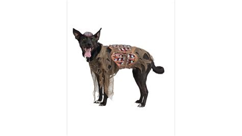 We love the Zombi-dog costume for Halloween 2015 | Dog halloween ...