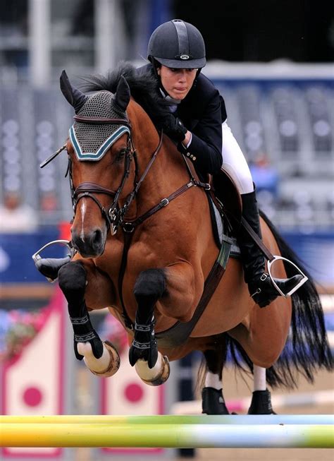 ahorsecalledtimber1: “ Source: Getty Images via FEI ” | Show jumping horses, Equestrian, Horse ...