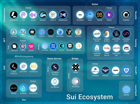 Sui Coin Nedir? Sui Coin Yorum | CoinKritik