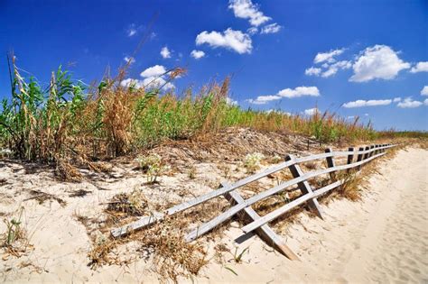 Pescoluse s beach stock image. Image of cane, clouds - 27171733