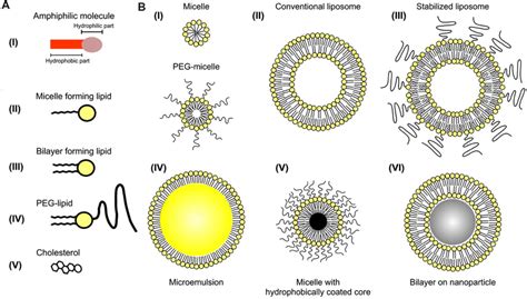 Iodine-containing nanoparticles. (A) Representation of individual... | Download Scientific Diagram