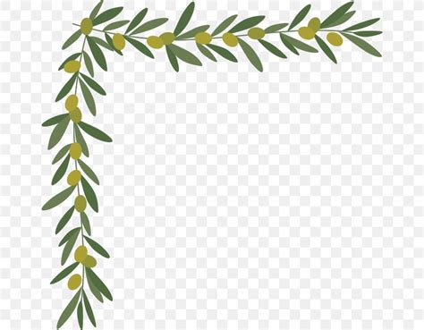 Borders And Frames Olive Leaf Twig Clip Art, PNG, 660x640px, Borders ...