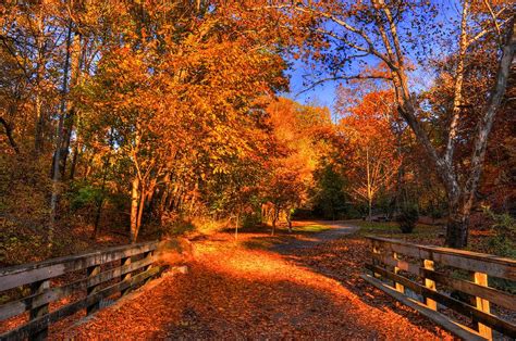 Glen Echo Park Photograph by David Kelso - Fine Art America