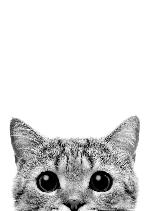 Kitty Peeks PRINTABLE Poster Black and White Minimalist Modern Print ...