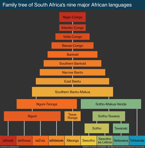 Infographic showing the origins and classification of South Africa's nine major African ...