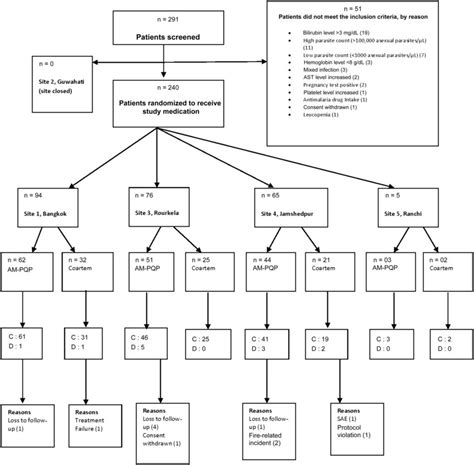 Treatment allocation and outcome among patients. Abbreviations: AM,... | Download Scientific Diagram