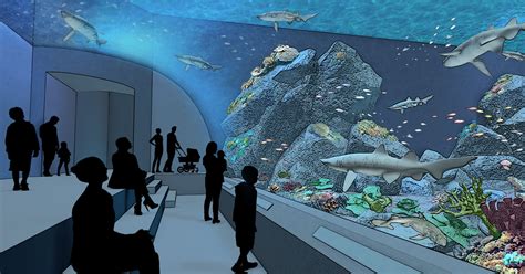 KC Zoo CEO Sean Putney on the New Aquarium - IN Kansas City Magazine