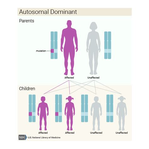 Pallister-Hall syndrome: MedlinePlus Genetics