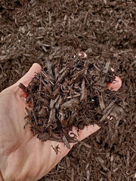 Dark Brown Enhanced Mulch | Birch Tree Bark & Stone