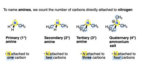 Primary Secondary Tertiary Amine