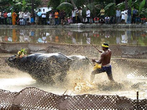 Karnataka Culture: Art & Traditions of Karnataka