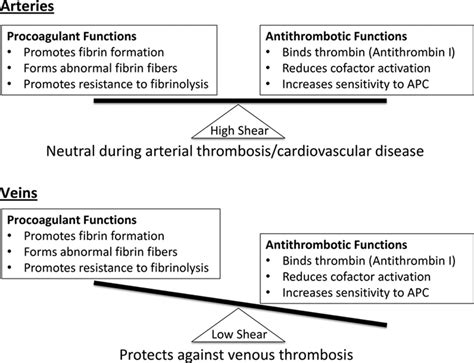 Primed to Understand Fibrinogen in Cardiovascular Disease | Arteriosclerosis, Thrombosis, and ...