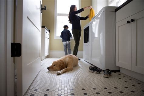 5 Dryer Maintenance Tips Every Homeowner Should Know