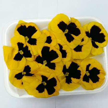 Pansy pansy. Edible Flowers and Herbs | Sunflora