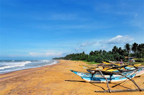 À voir au Sri Lanka | Sri lanka, Les visiteurs, Pays